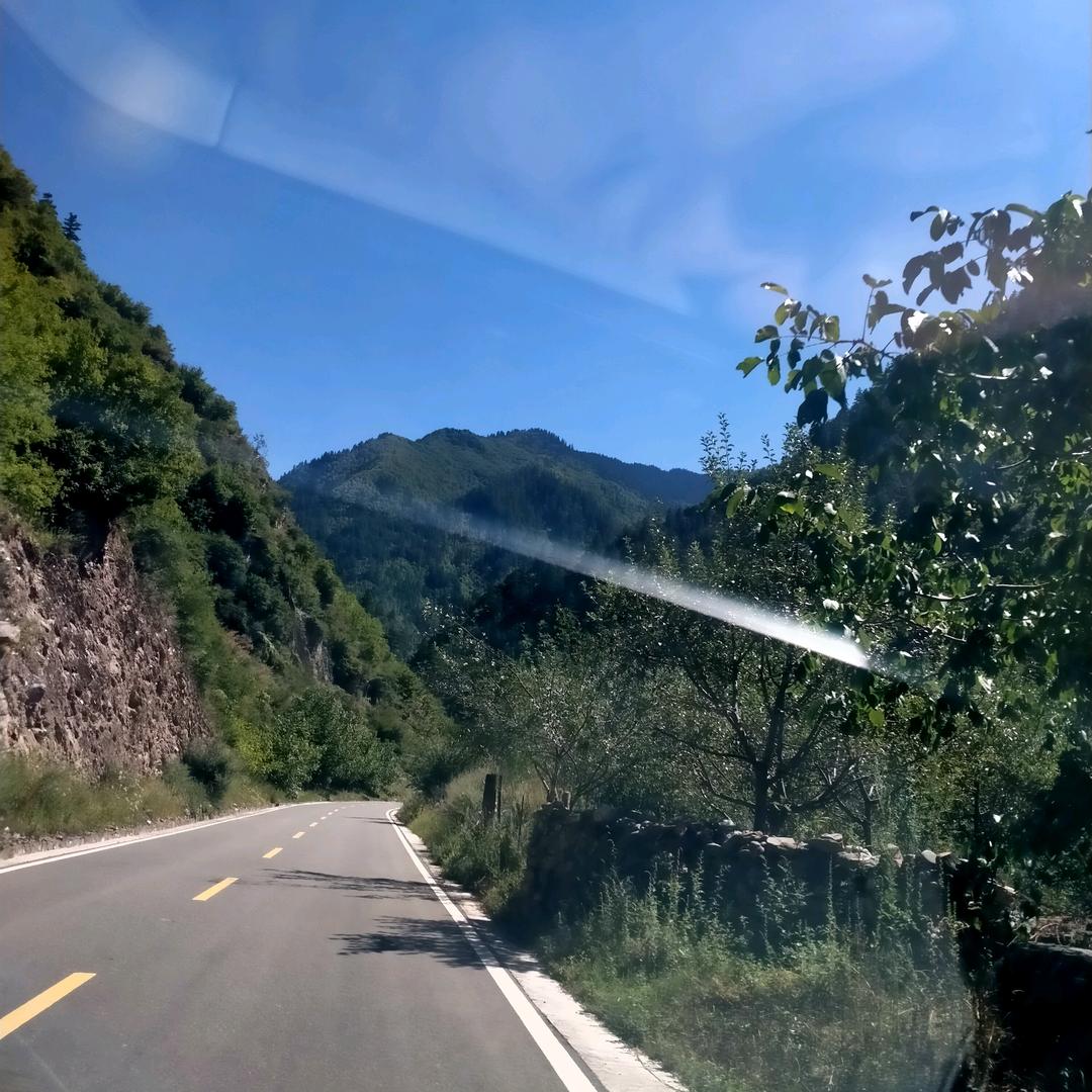 果果