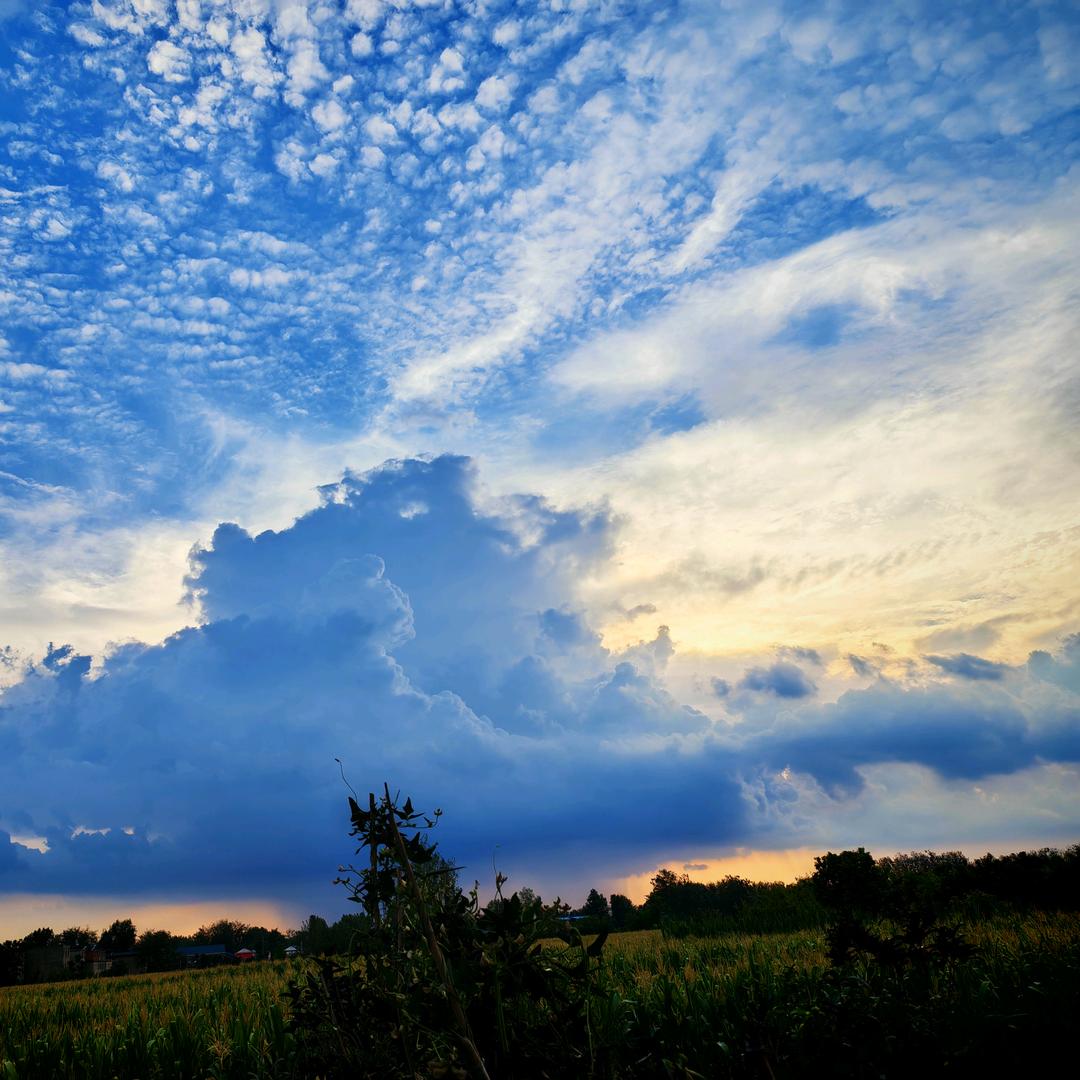 谁能给我介绍对象