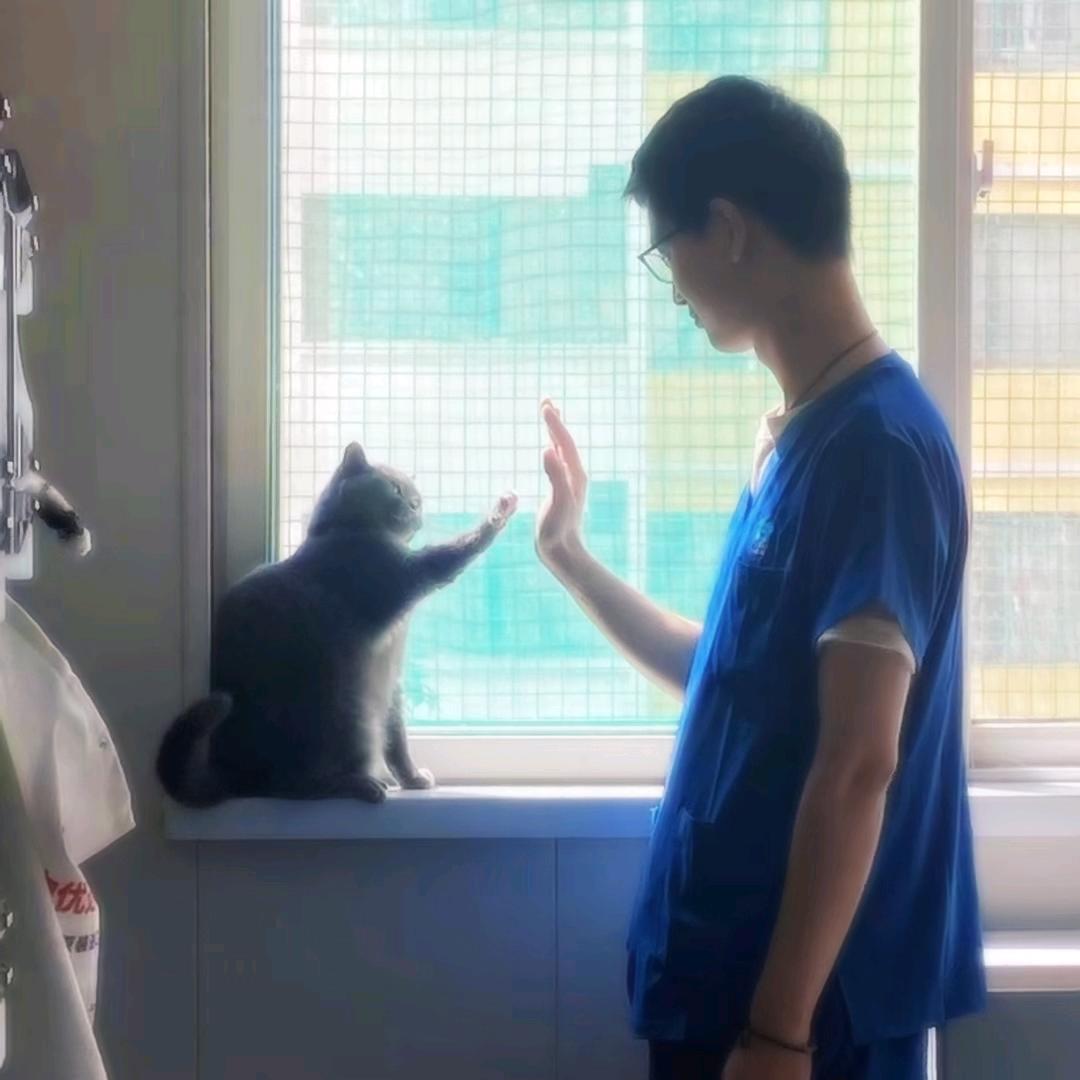 异宠医生-岳医生