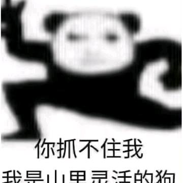 涛你裤裆