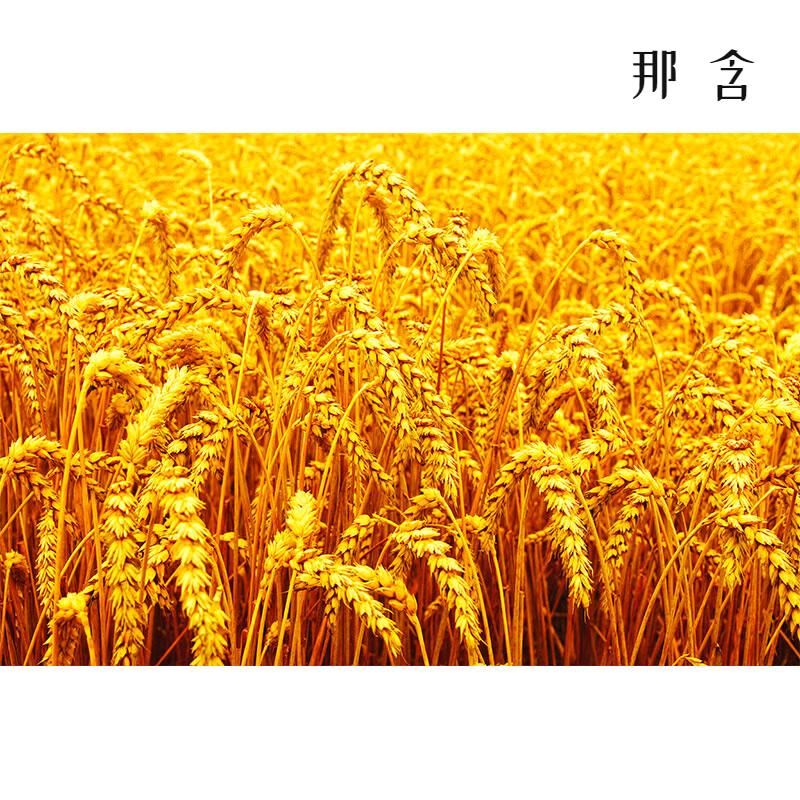 读书汇