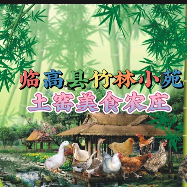 竹林小苑临高农家乐
