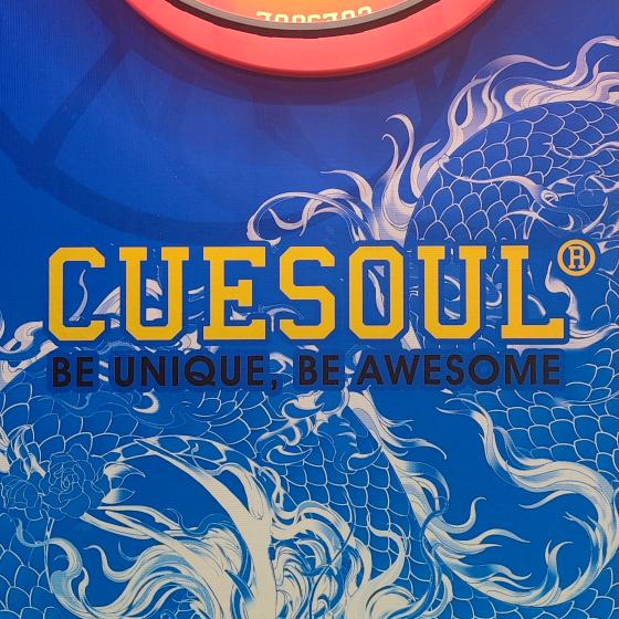 CUESOUL飞镖