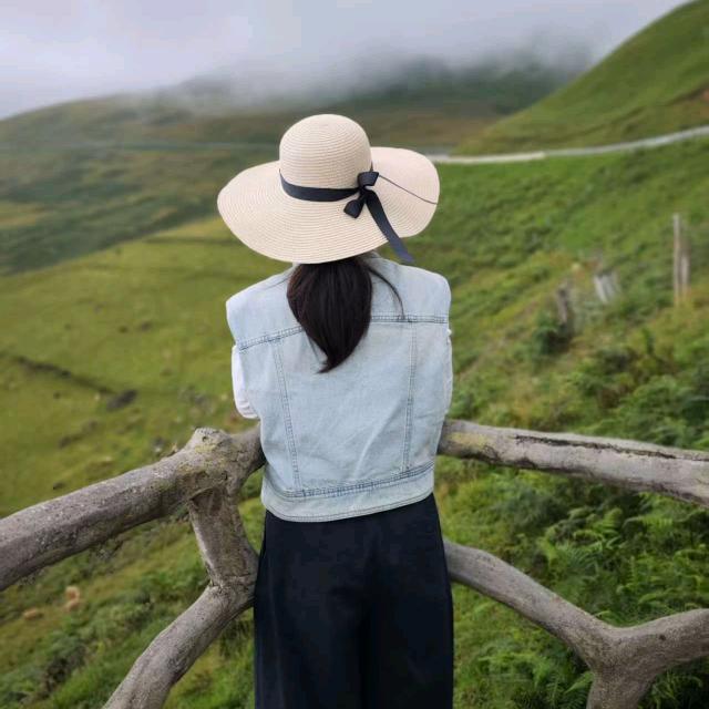 素问阁