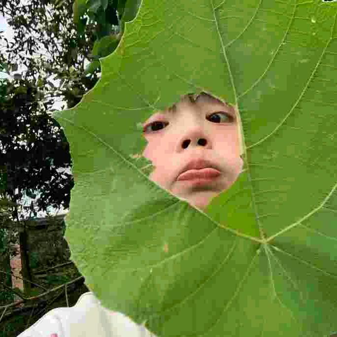 天下第一好。