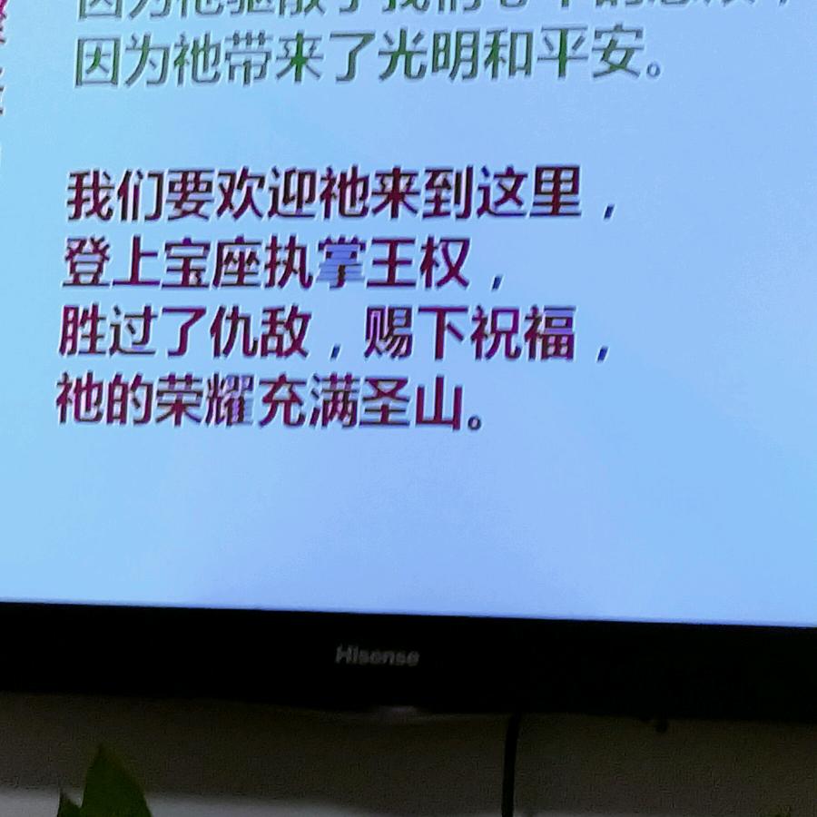 自己走脚下的路