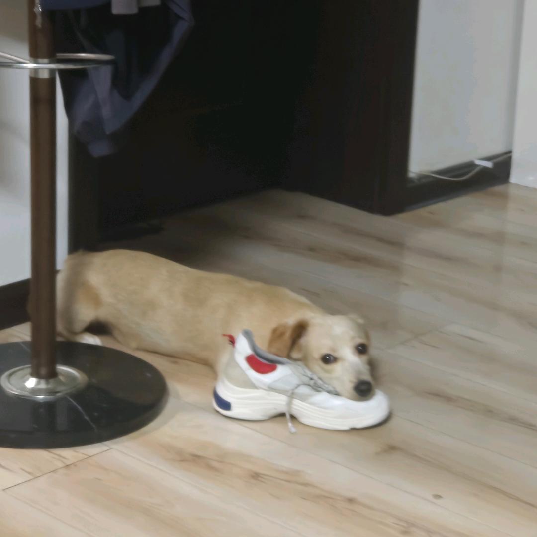 91117