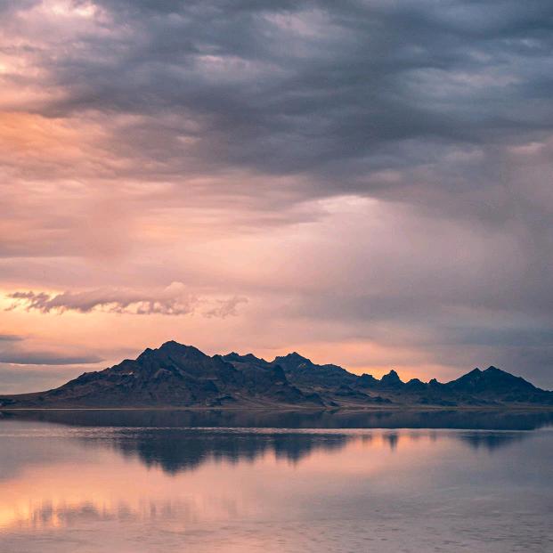 张王李刘赵孙杨