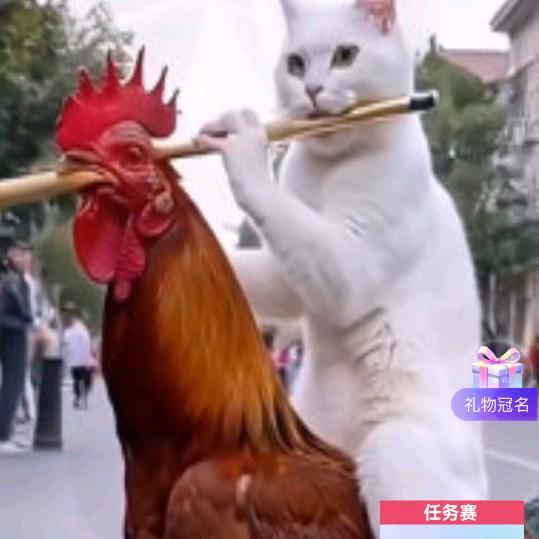 龙舞前妻