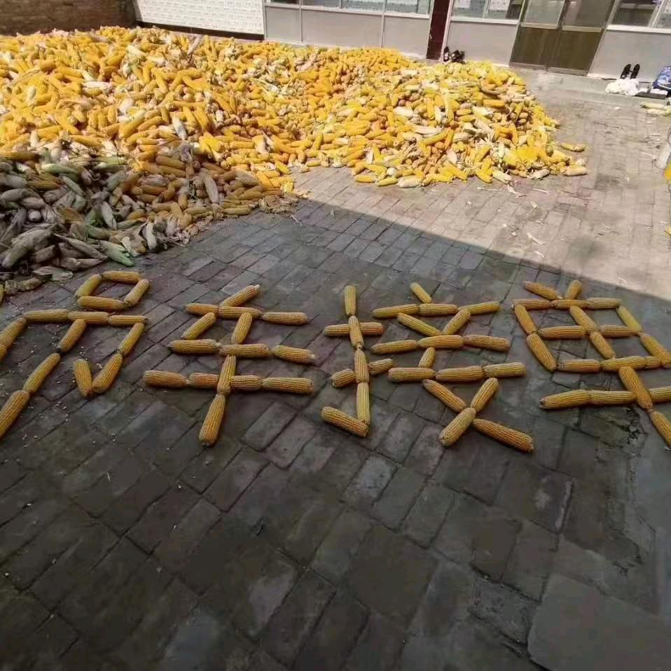 忠桦吊装