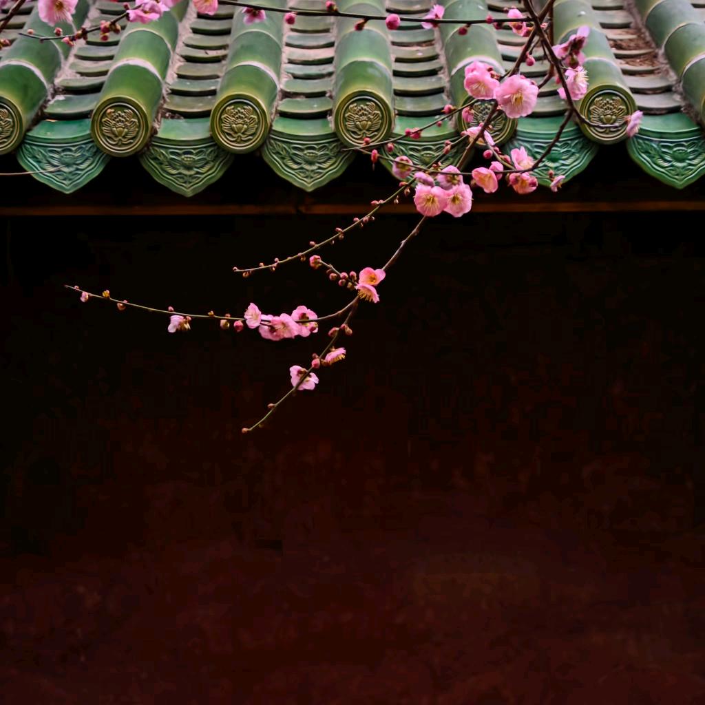 晓晓晓