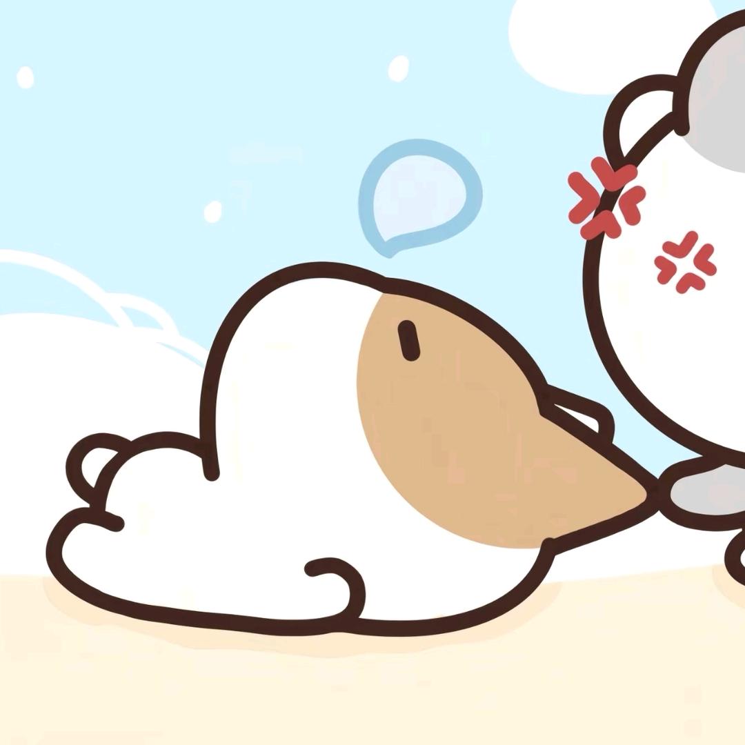 不想搬ᶻᶻᶻ🐏