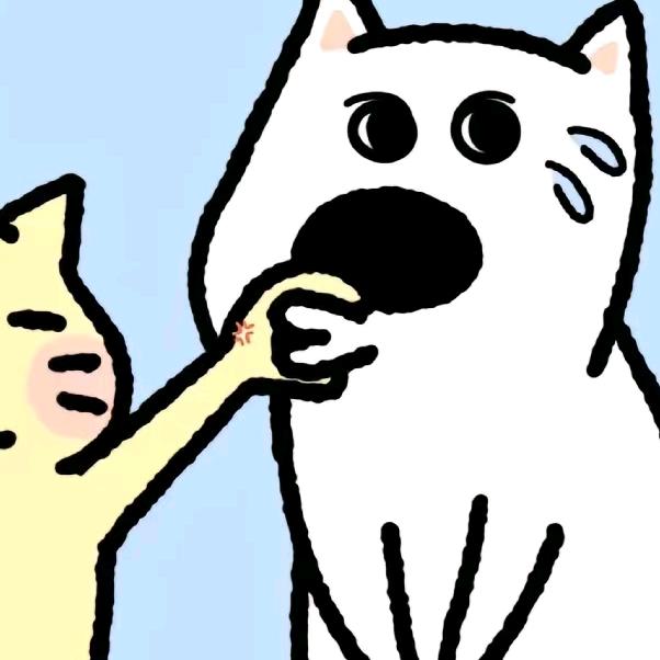 柳迎椿