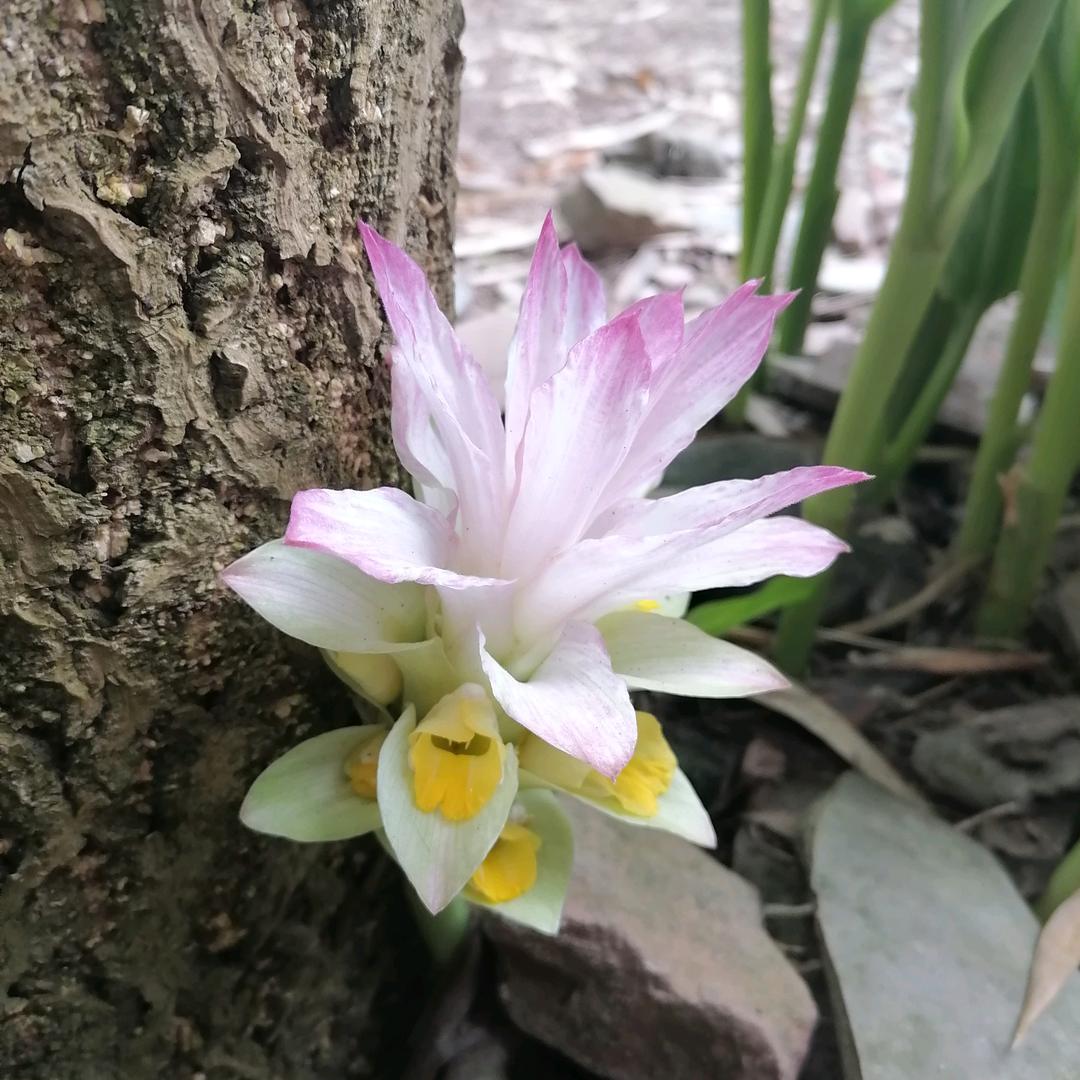 余生好好爱自己