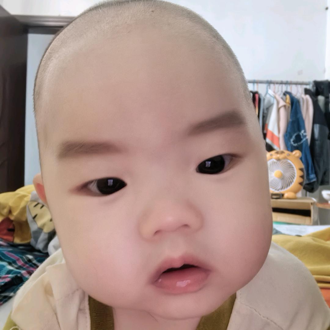 佳妃猫