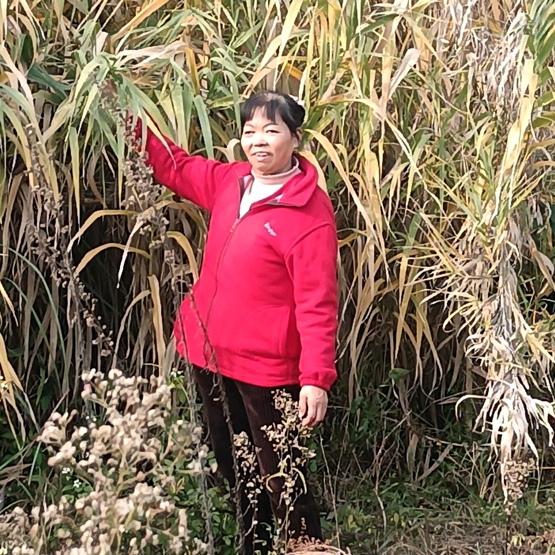 张珍秀