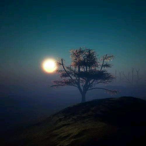 优优精选