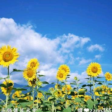 曹俊丶