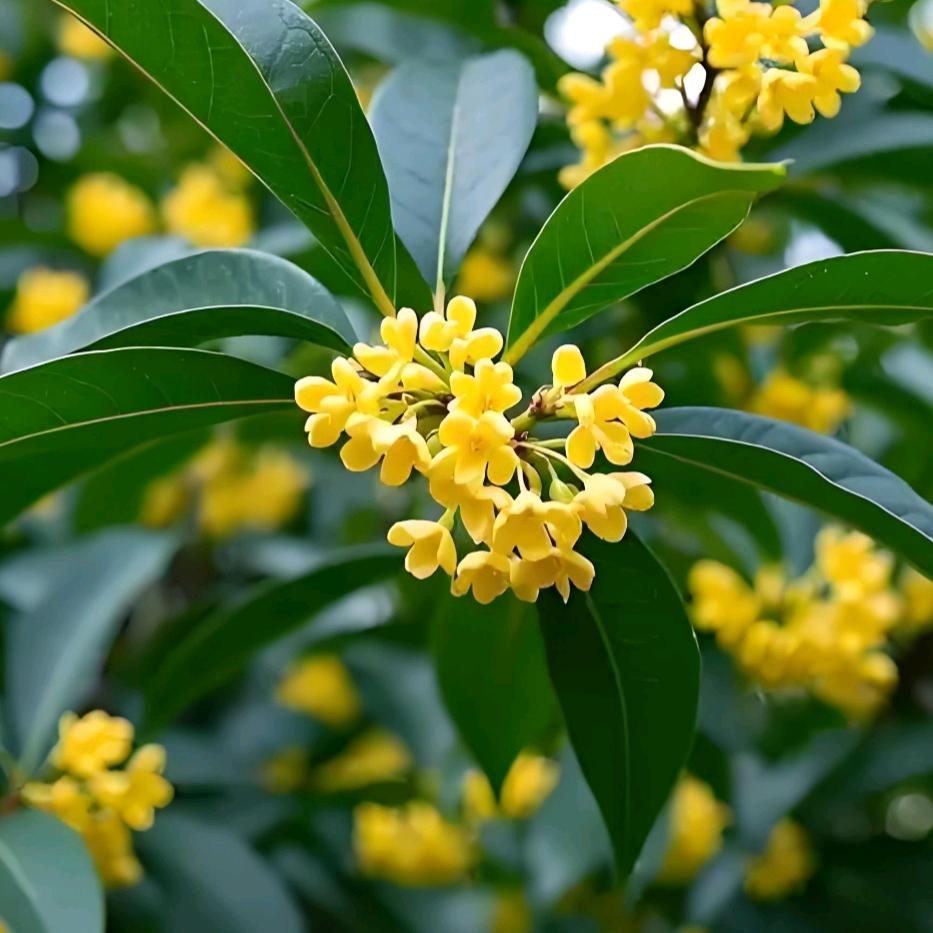 ❤满满的幸福🌟❤