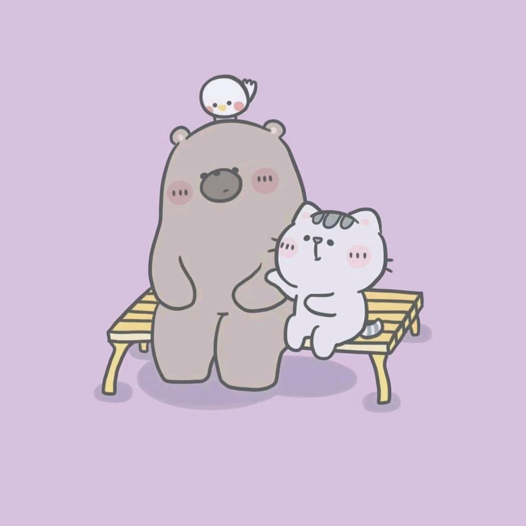 养猫的熊