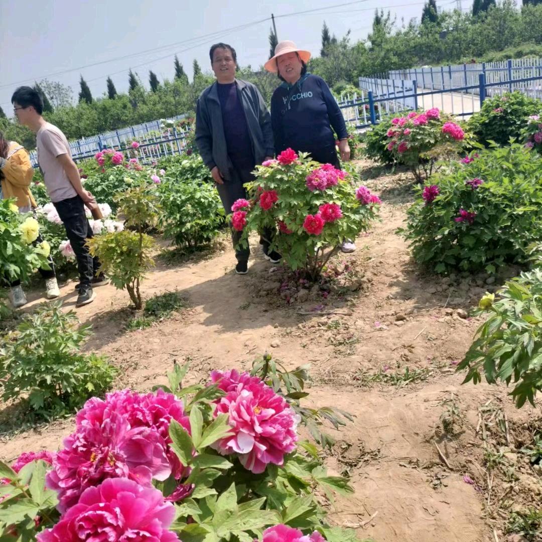 我爱我妻