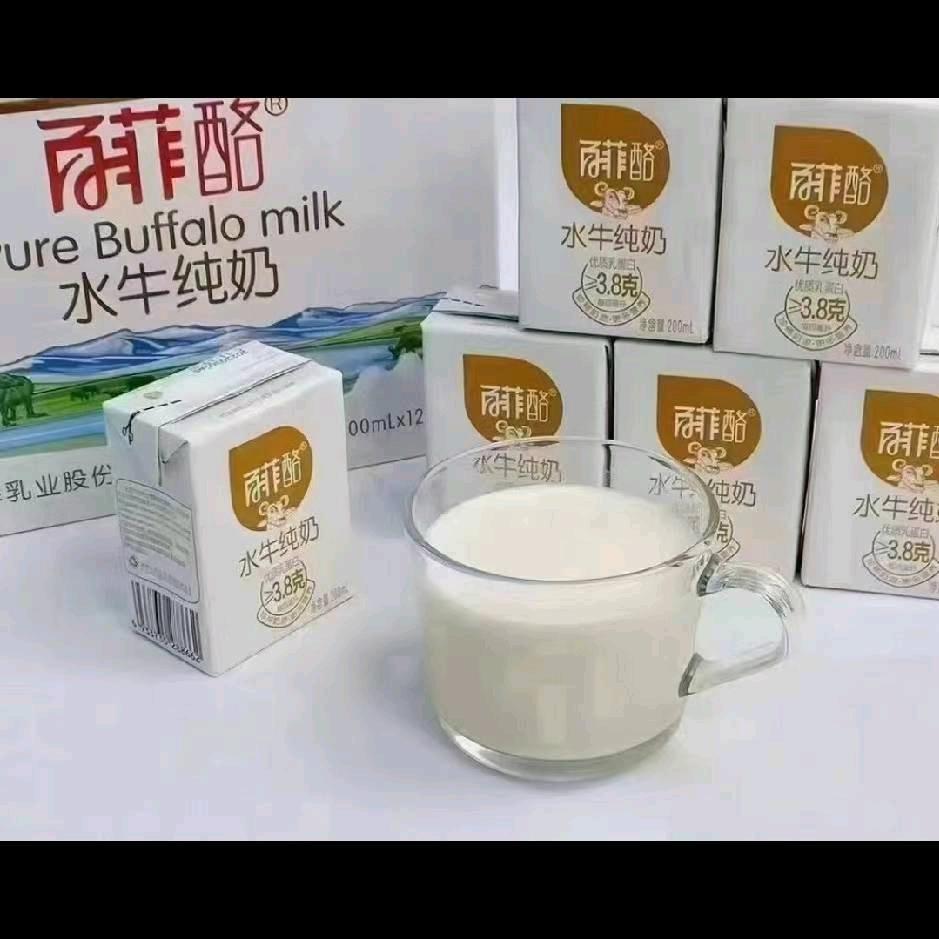 百菲酪纯牛奶项城总代理