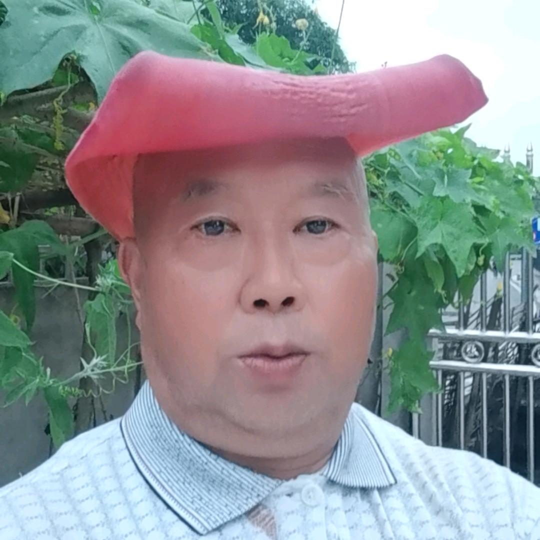 张猪儿天天耍1725057933