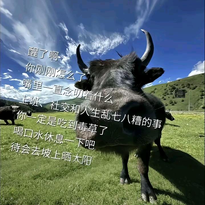 X_X 时差岛