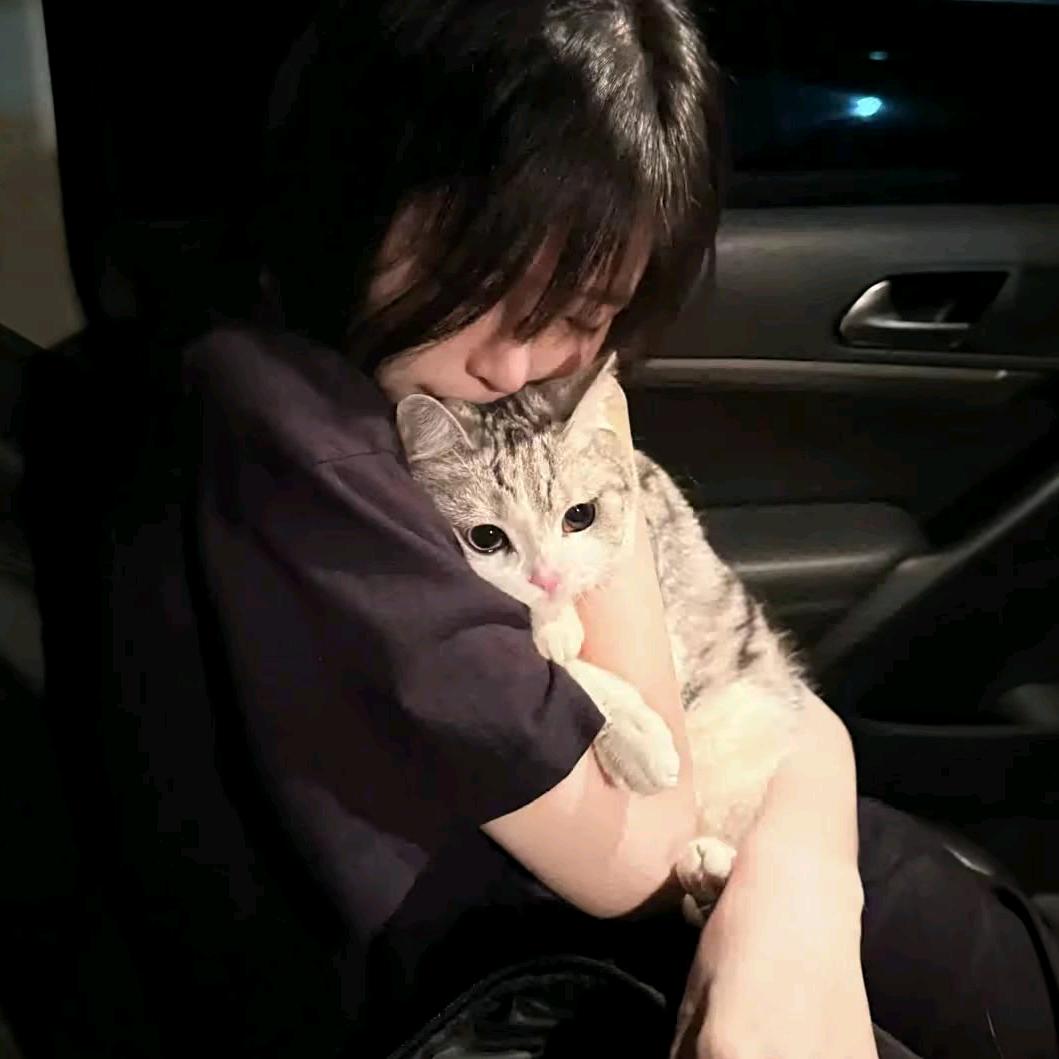 这些 那些 我全接受