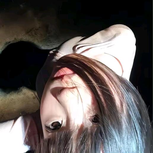 小海苔