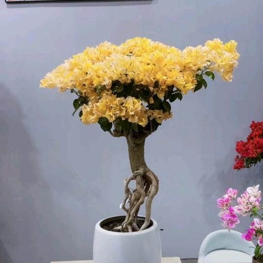 雨过天晴