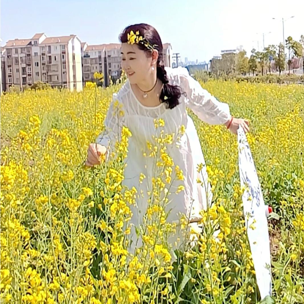 英子🌻，朱