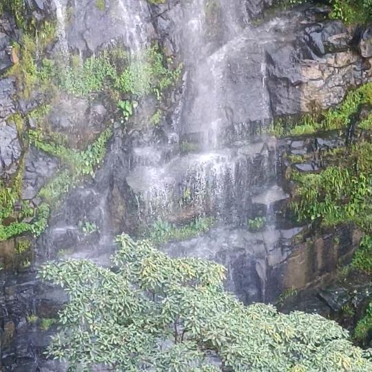 渡凡尘