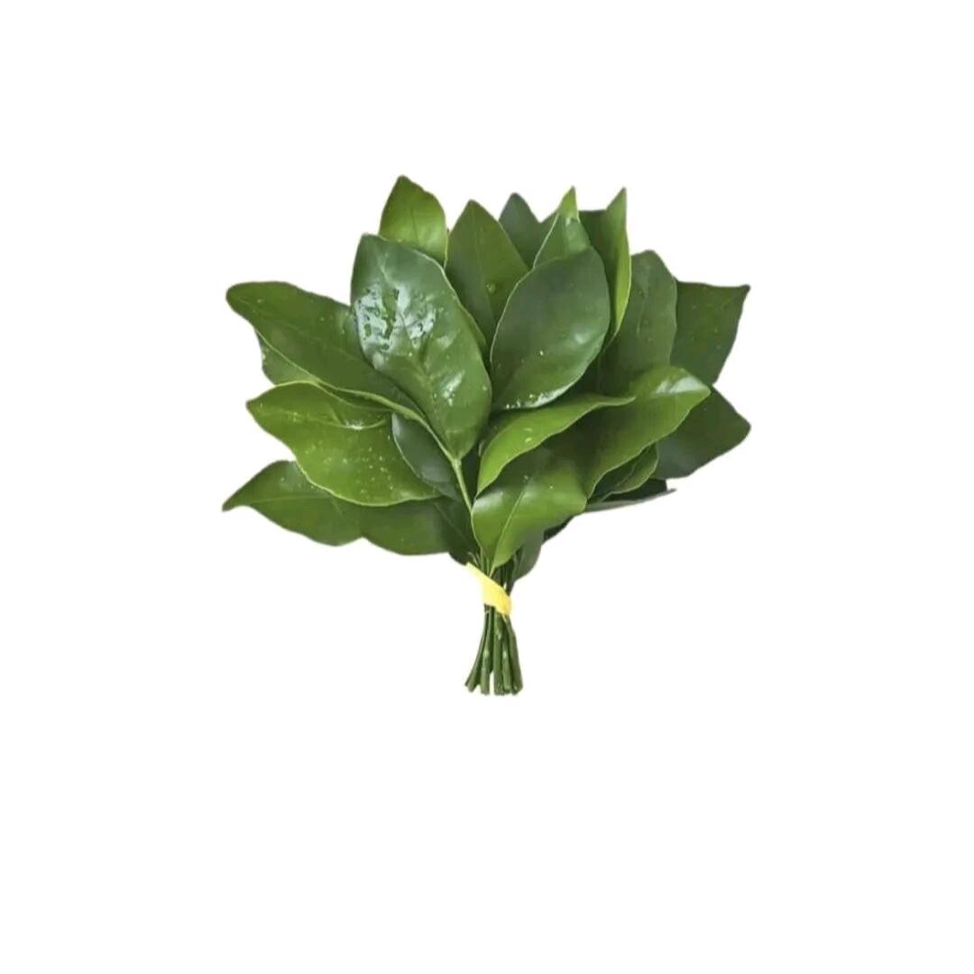小潘