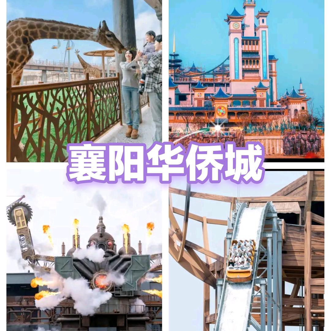 襄阳华侨城旅游顾问-贺贺