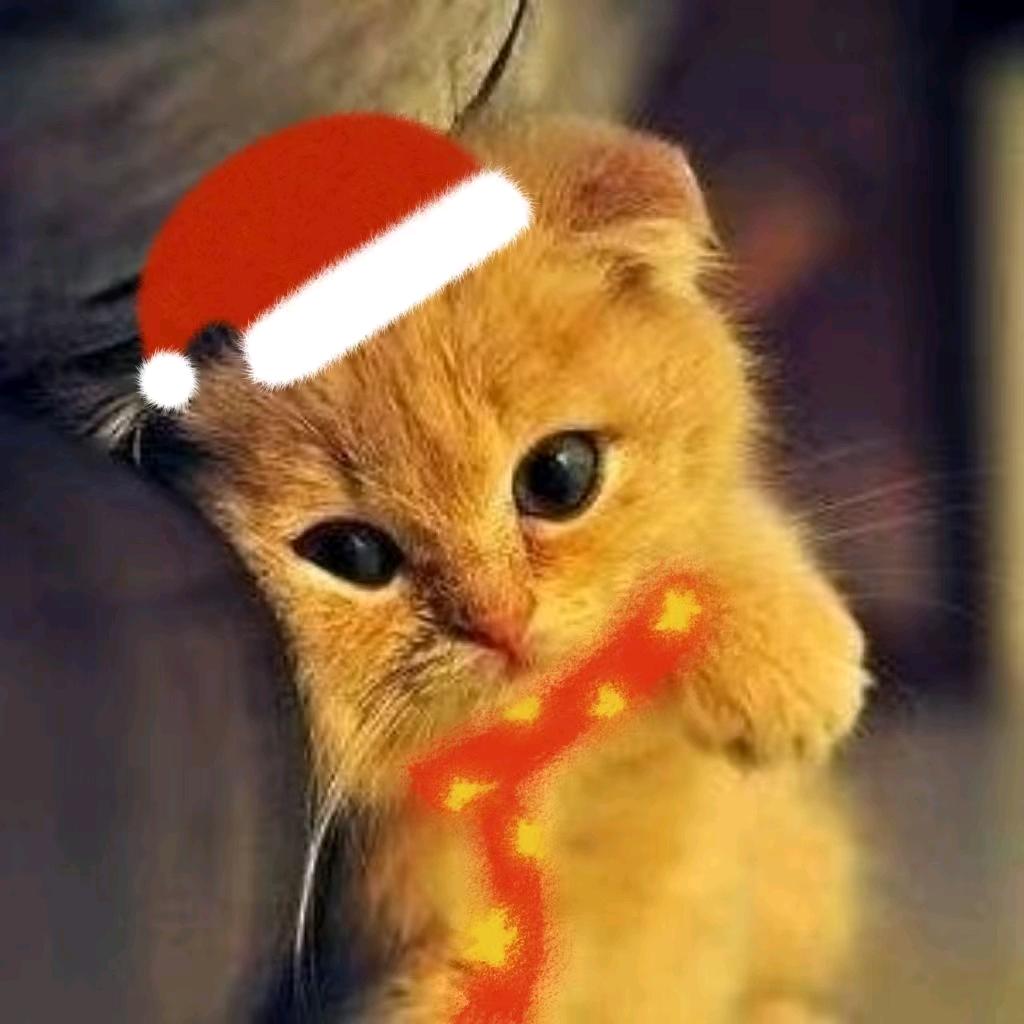 没有迷路的小孩