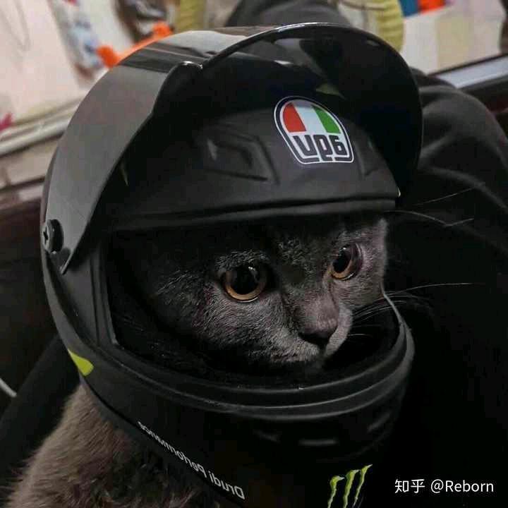 ๑黑猫๑