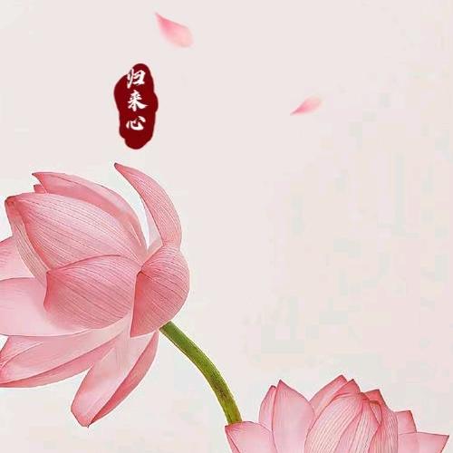 檀尘·心妙子