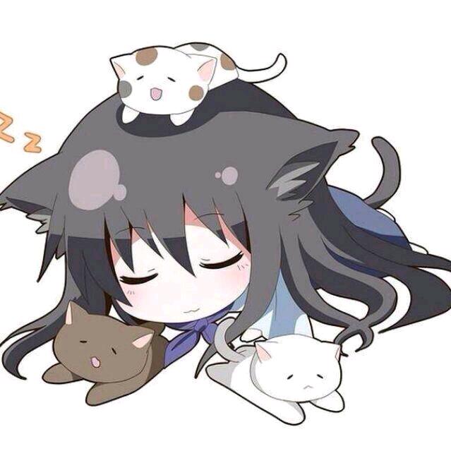 偷喝山茶的猫
