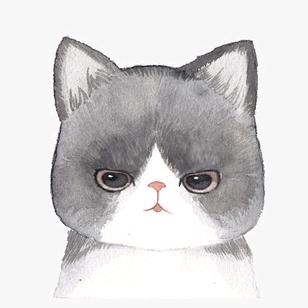 钰帝