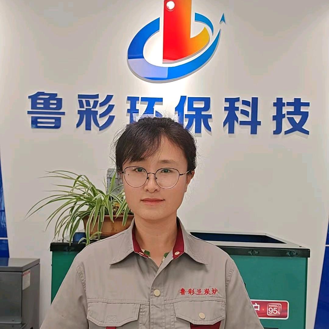 鲁彩兰炭水暖锅炉