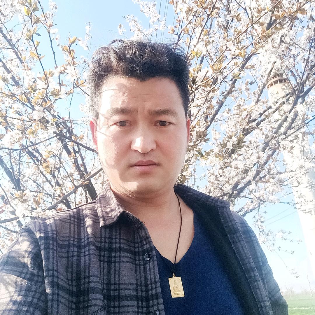老张爱唱歌
