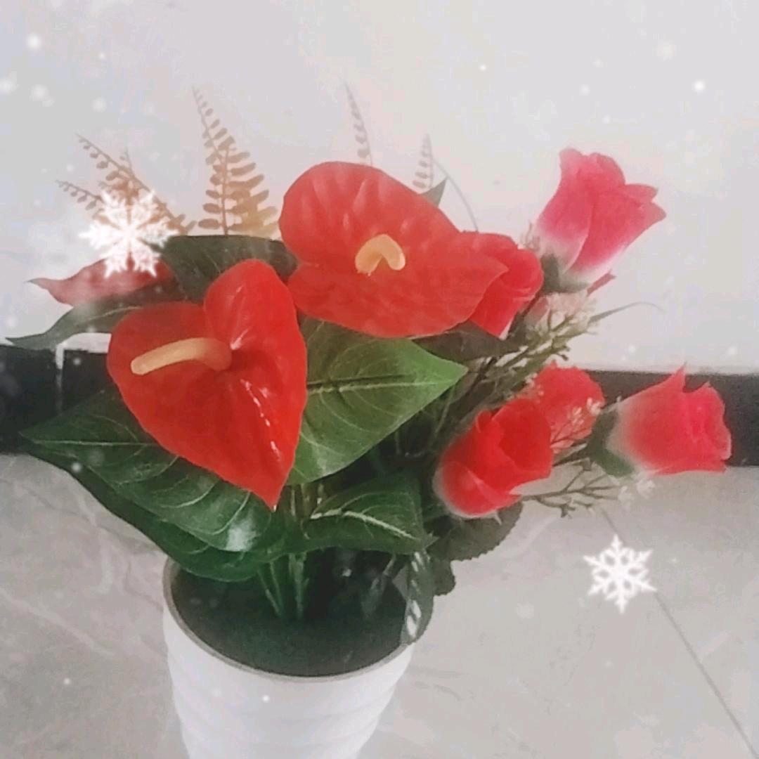 细品岁月