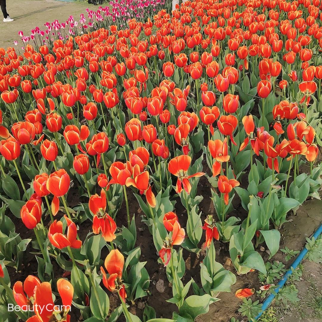 真❤️爱过的人，永远住在心里。