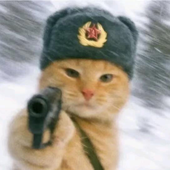丹青