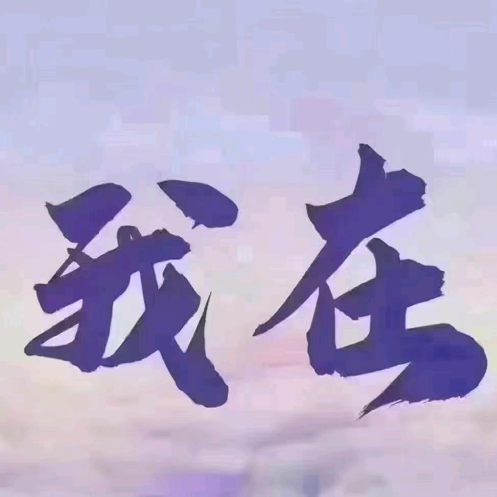 飞蛾扑火  老美