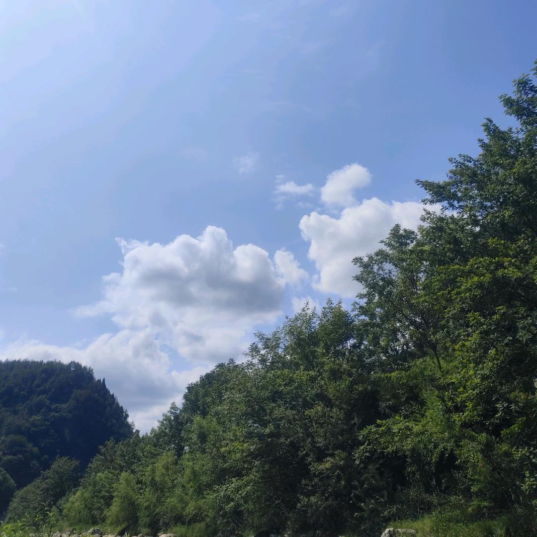 淡然🌻