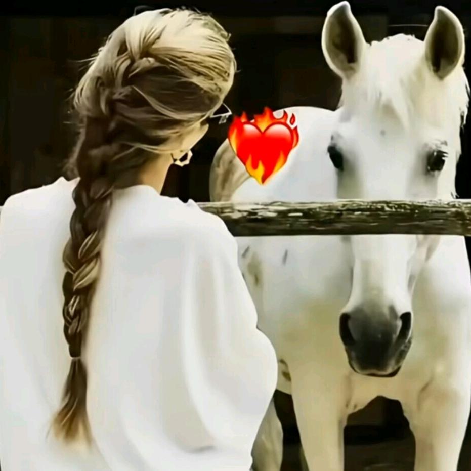 ▶  ıı|ıı| 8"💘