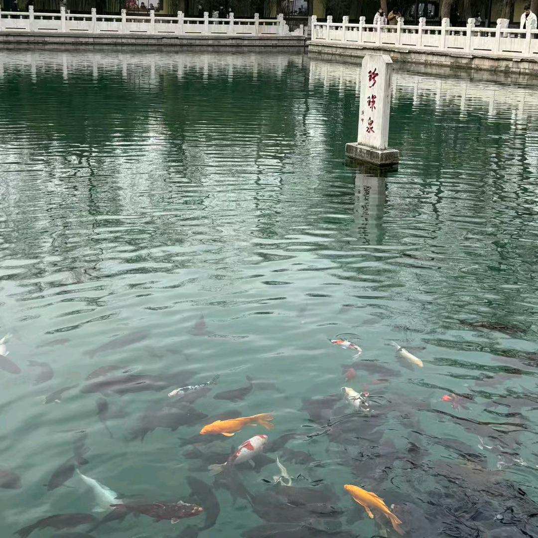 努力（2.0版本）