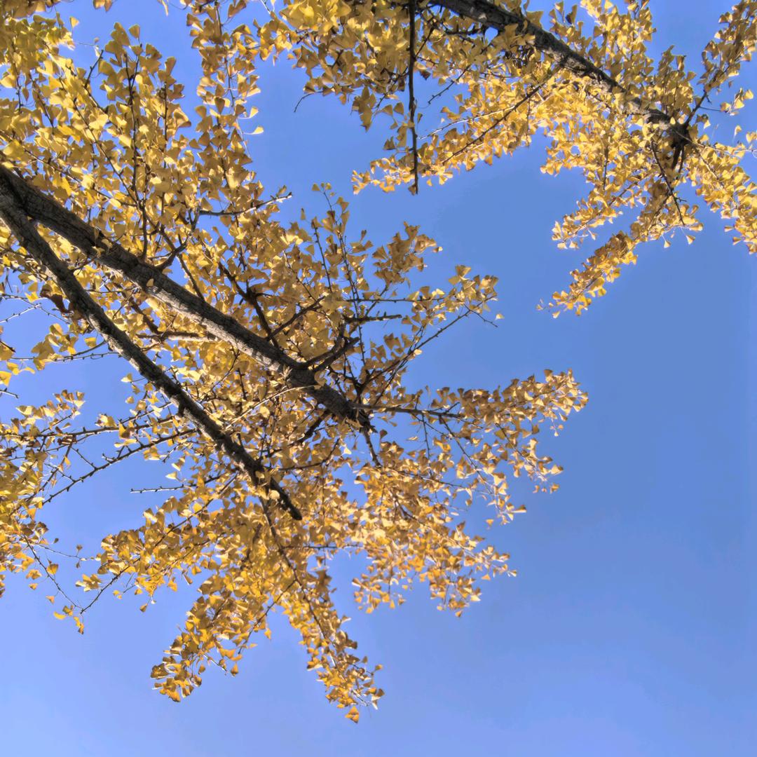 💗ℒℴѵℯ晨曦微光。⁵²⁰℘